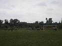 DSC00005