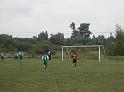 DSC00010