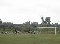 DSC09995